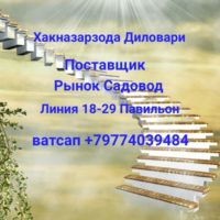18 29 Диловари Хакназарзода (Диловар) садовод фото профиля Вконтакте